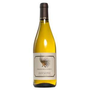 Sergio Mottura POGGIO DELLA COSTA Grechetto IGT 2019 75cl