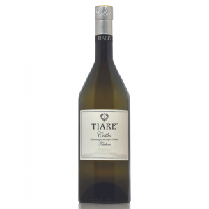 Tiare Friulano Collio DOC 2023 75cl